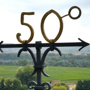 Seminarangebot Future Wine Academy