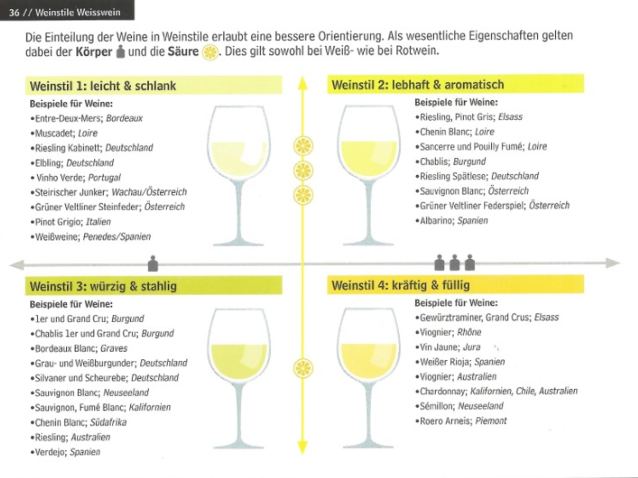 Wein Nachhaltig Verstehen