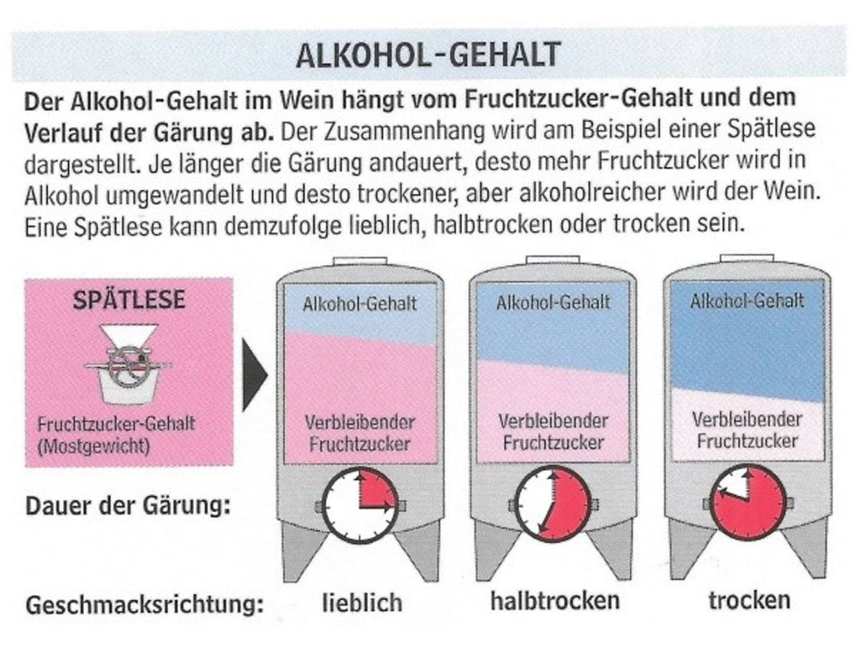 Schema Alkohol-Gehalt
