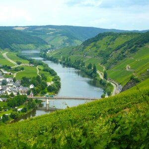 Seminarangebot Future Wine Academy