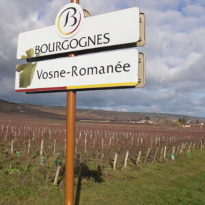 Seminarangebot Future Wine Academy