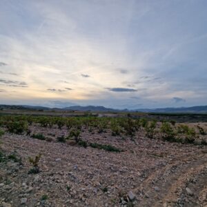 Seminarangebot Future Wine Academy